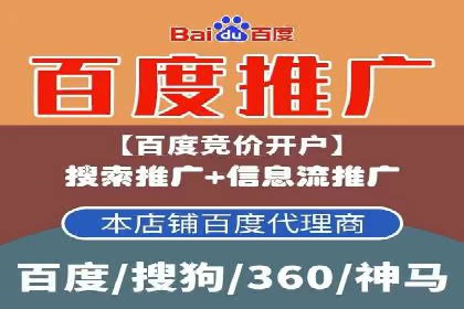 某电商平台的SEM广告投放策略及效果评估